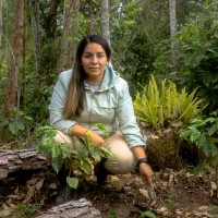 Danitza Medina Velasquez