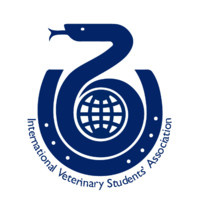 Ivsa Global External Relations Officer