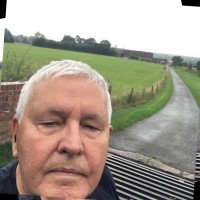 Steve White