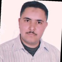 Mohammad Mohsen Alzayat