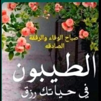 محمد المولد