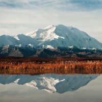 Glenn Shrestha