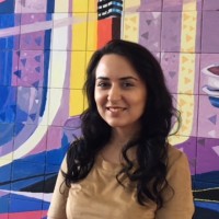 Nicoleta Negulescu