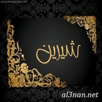 Shereen Mahmoud