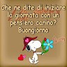 francesca scomparin