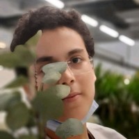 Abdelrahman Mohammed
