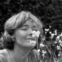 Ann Roelens