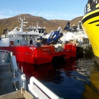 Vegar Strand