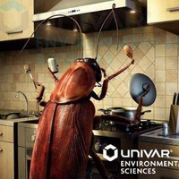 Rafael Zamora Gutierrez