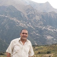 chafik Alger