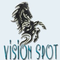 Vision _Spot