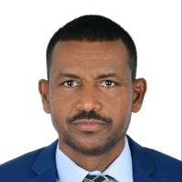 Ahmed Rabih