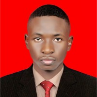 Murtada Ibrahim. MSc. BS