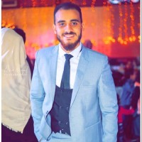Hisham Mahmoud Saleh