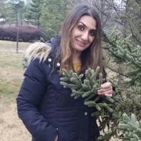 Serpil Ergüne