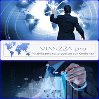 VIANZZA pro - Support and Foreign Trade Services
