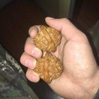 杨玉学