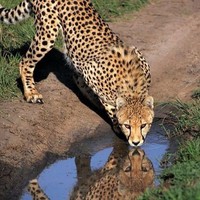 Junior Blessing Tours And Safaris Ltd