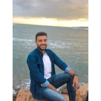 Mostafa Alkholy