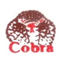 Cobra Fire & Safety Sytsems