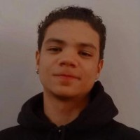 Pedro Henrique Alves