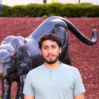 Anas Alqahtani