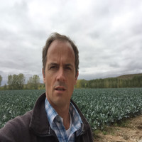 Ricardo Sasschetti