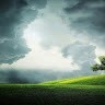Nature Music Videos