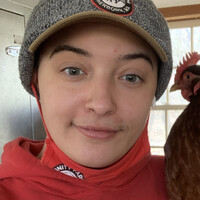 Kiersten Bazdanes
