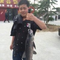 杨贺忠