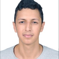 Hicham Faouzi