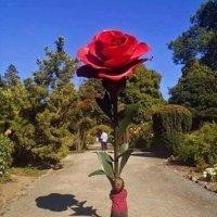 曾庆辉