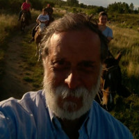 Juan Molfino