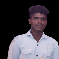 Nelson B