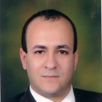hesham elshafei