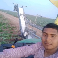 Fernando Merino granado