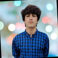 Sartaj (Digital Marketer)