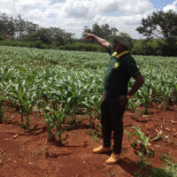 Geoffrey Muchoki Nganga