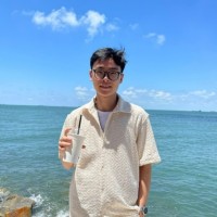 Minh Hieu Do
