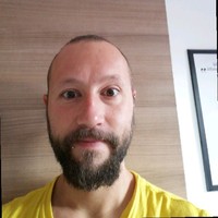 Lorenzo Domizi