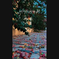 ربيع الشمري