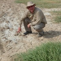 Ian Loeskow