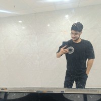 Ankit Bhadri