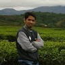 Alfi Hendri