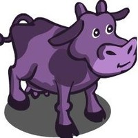 Christopher Brunsdon