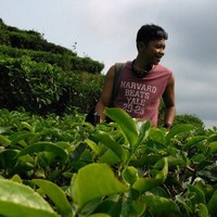 Taufiq Cakra Manggala Hadiningrat