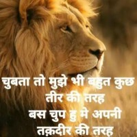 Anil Gour