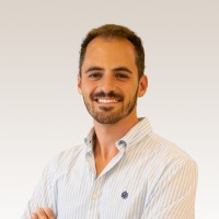 Luís Alvito