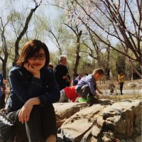 杨晓伟