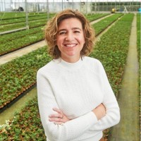 Jennifer Schipper